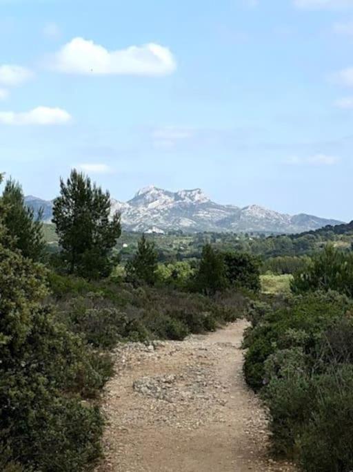 La Pitchoune : Gite Aux Pieds Des Alpilles Мур'є Екстер'єр фото